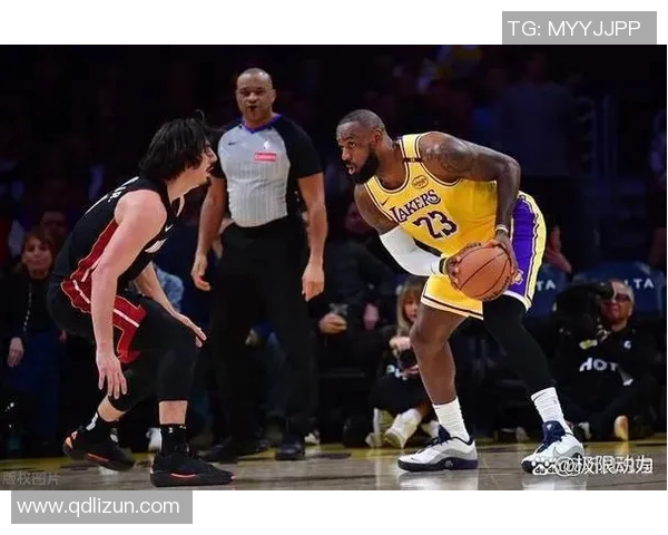 11月19日湖人与热火精彩对决回放分析及赛后点评